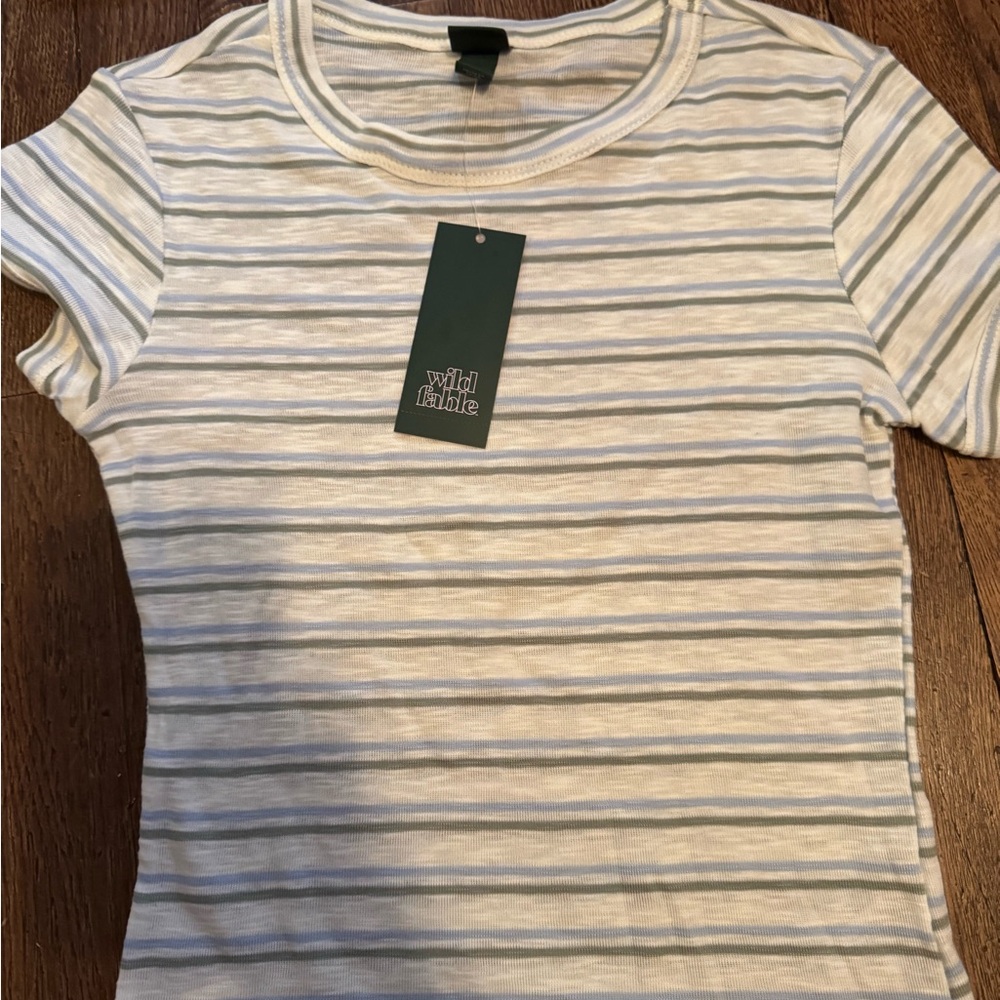 wild fable White and Light Blue Striped Short Sleeve Tee